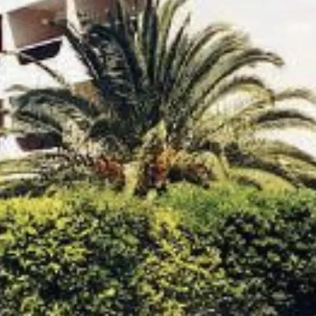 Apartment Studio Cabine Renove Avec Climatisation, Loggia, Parking Securise, Proche Plage Et Commodites - Fr-1-226-546 Sainte-Maxime