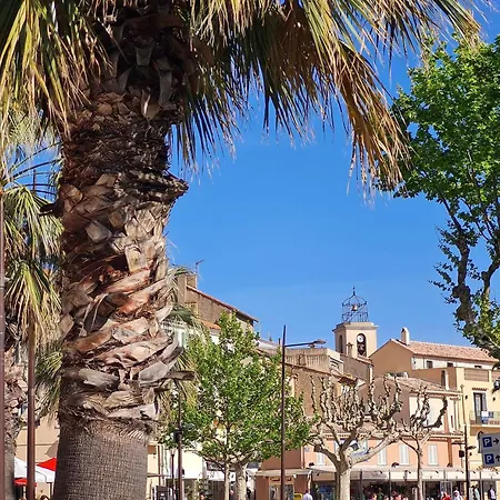 Studio Cabine Renove Avec Climatisation, Loggia, Parking Securise, Proche Plage Et Commodites - Fr-1-226-546 Apartment *
